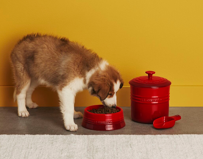 Bowl para Pet, view 3