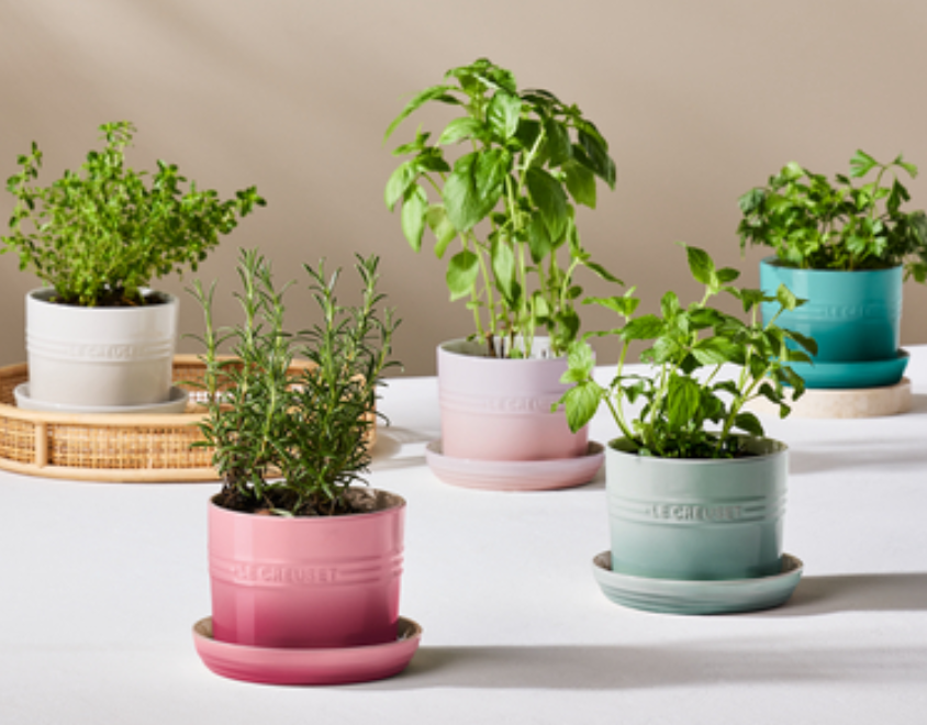 Vaso para Ervas com Bandeja